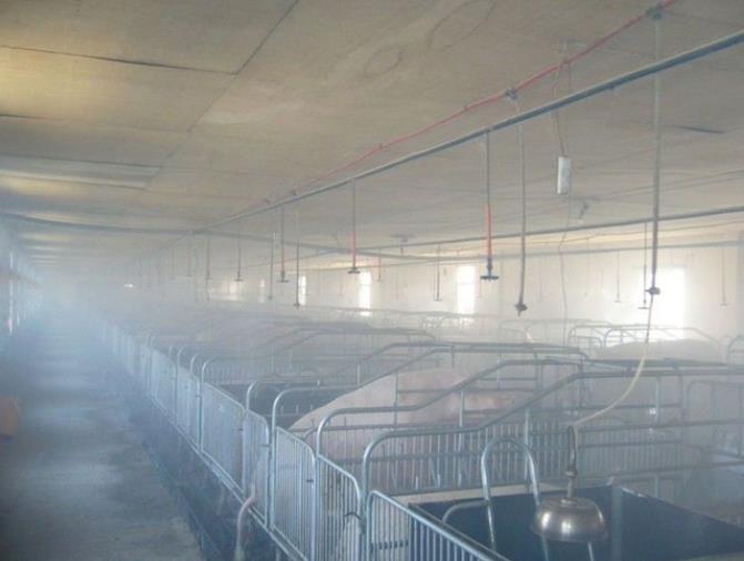 分享四大福州养殖场除臭办法，看哪个更有用？