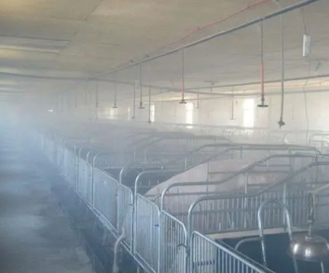 需要注意的福州养猪场除臭安全问题