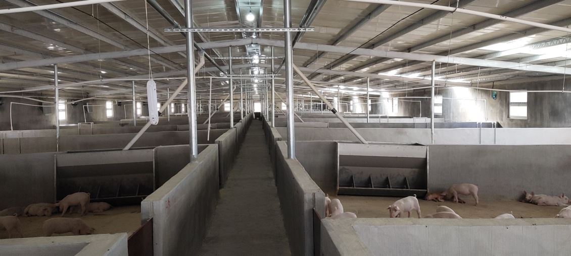 如何评估福州养猪场除臭的效果，并进行持续的优化和改进？